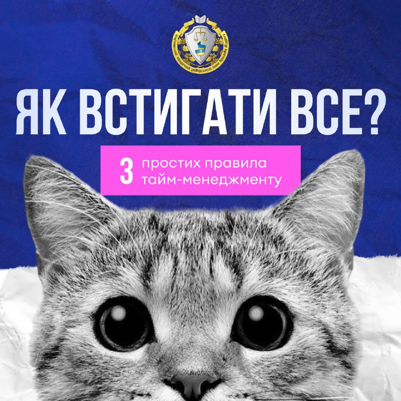 [​​](https://telegra.ph/file/3984b18e21ba4fa6f7791.jpg)**Як встигати все? 3 простих правила …