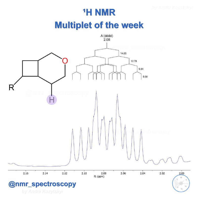 The Multiplet of the Week ***🧲***: