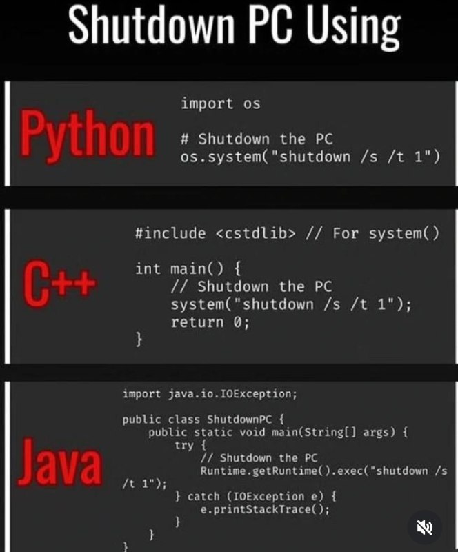 Python vs C++ vs Java