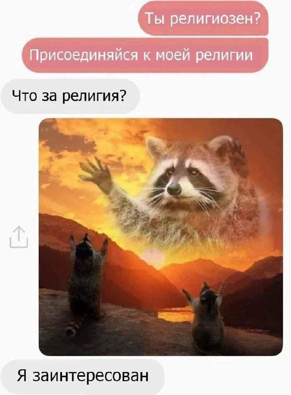 [#raccoons](?q=%23raccoons)