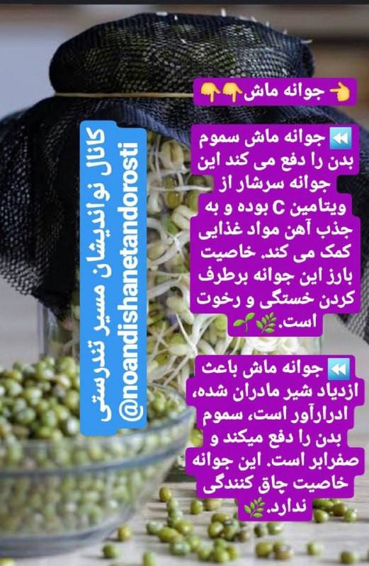 ***👈*** جوانه ماش***🌱******🌿******🍇******🍑***