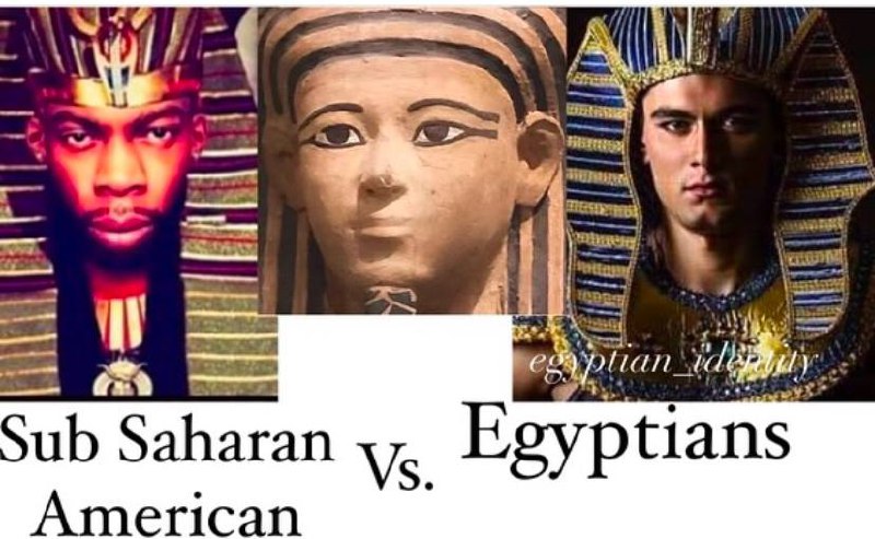 Really Egyptians vs sub-Saharan