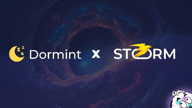 **Неожиданное партнерство Storm Trade x Dormint