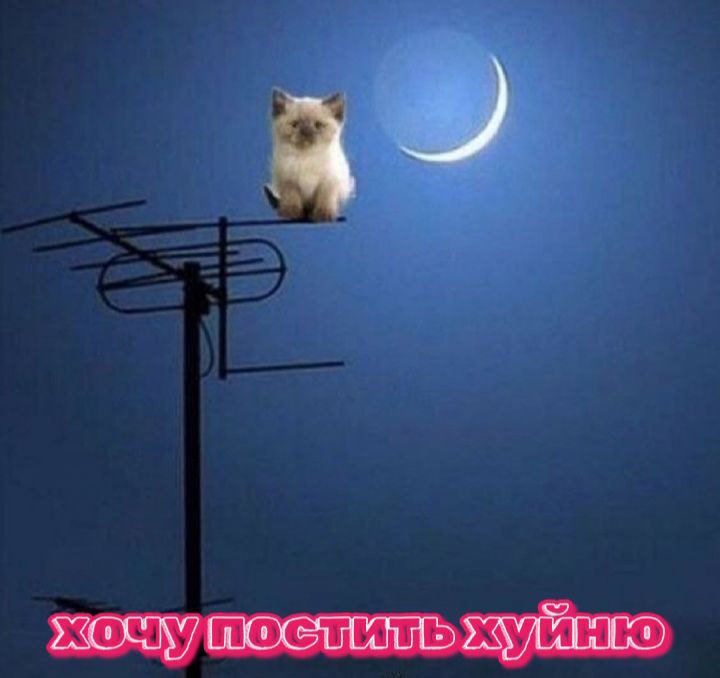 без названия