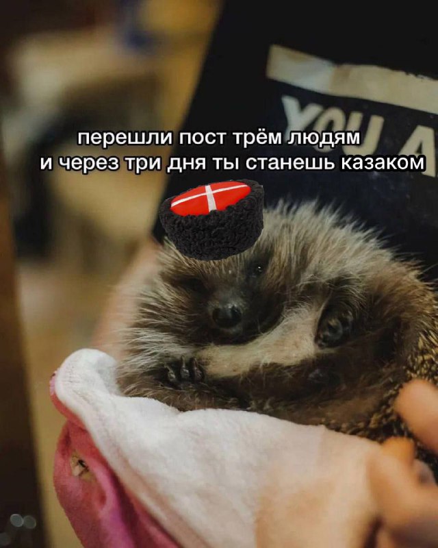 без названия