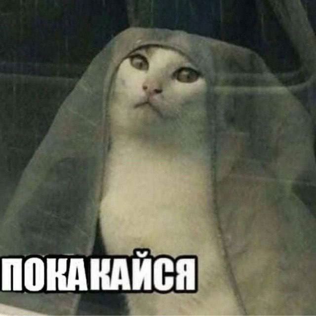 без названия