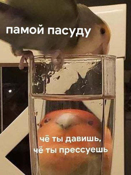 без названия
