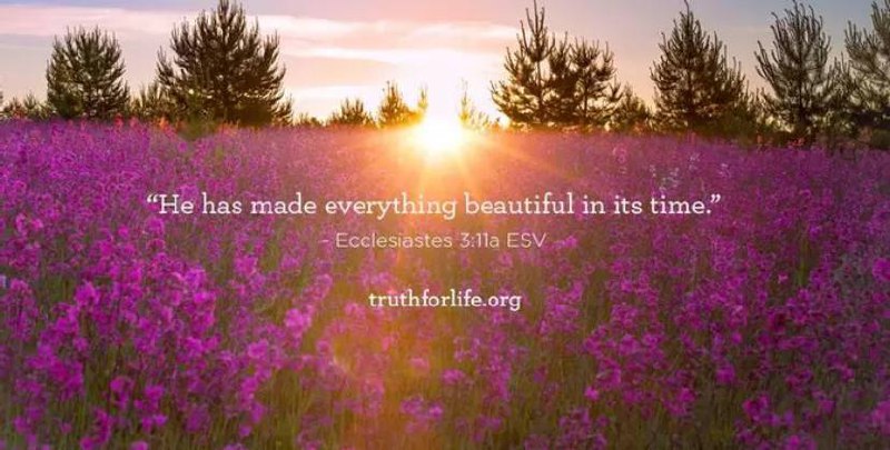 ”He has made everything beautiful in …