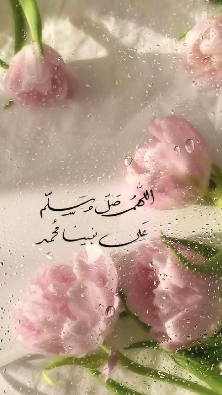 نَوْف .