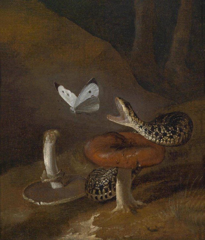 **By: Otto Marseus van Schrieck**