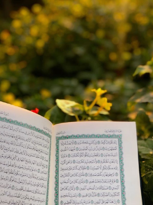 جاهد قدر المُستطاع أن تستفتِح وردك …