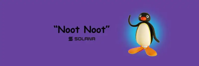 Noot On Sol is being protected …