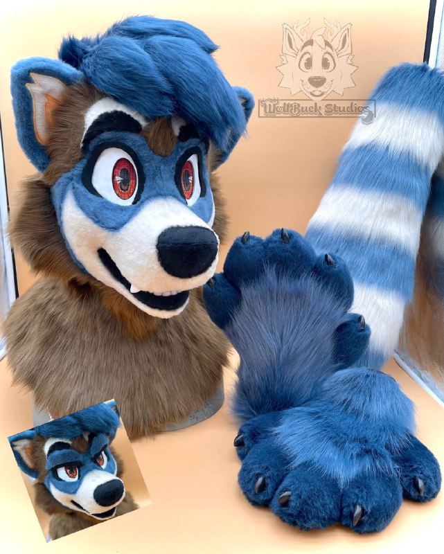 Meet ZieZie the raccoon! The base, …