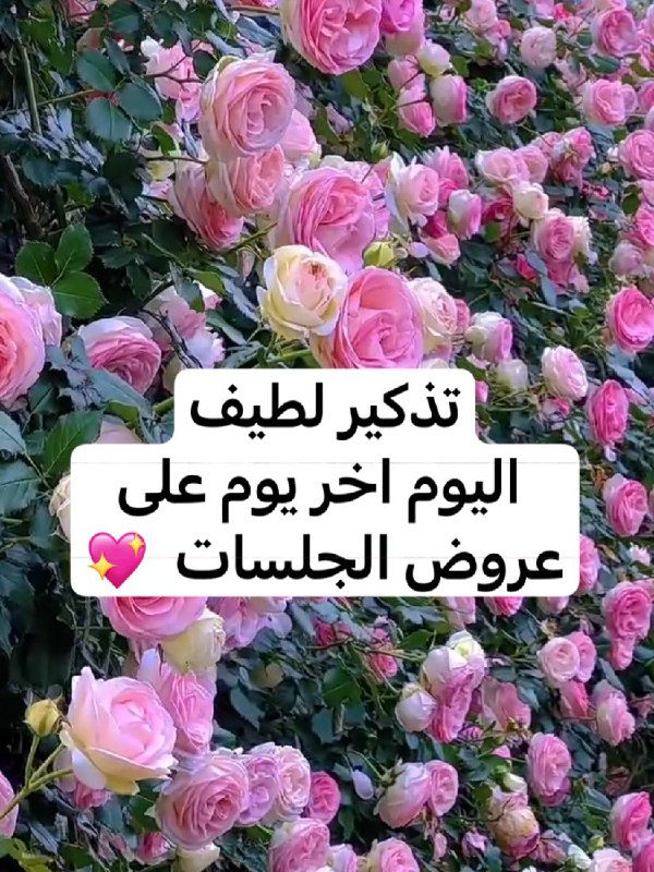 ♾️نور انفنتي♾️