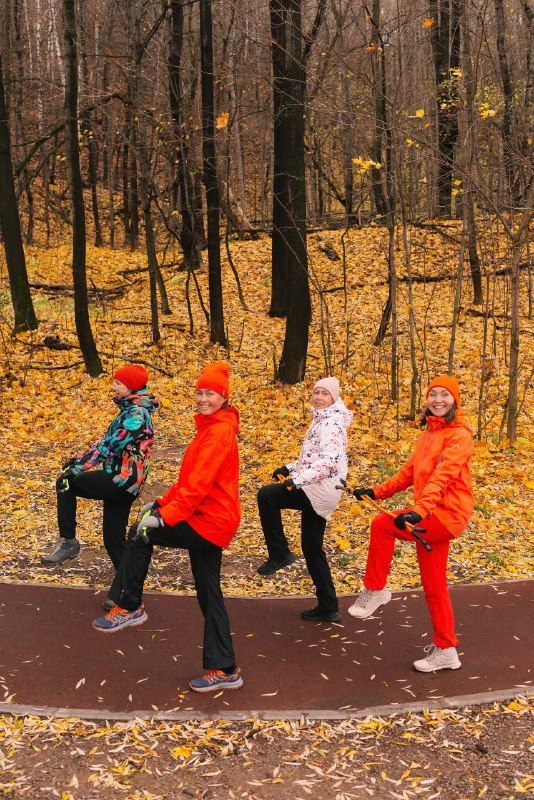 ***🟣***Получить ссылку на видеоролики!