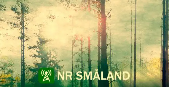**NR Småland #91: Vikarierande programledare**