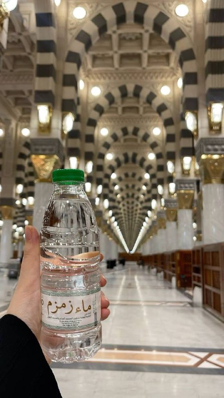 نـوࢪســـين ‏ꨄ.