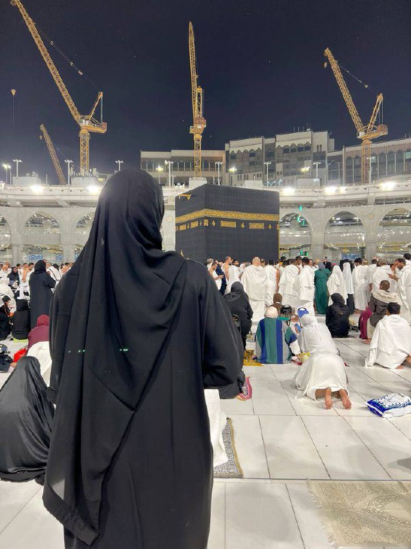 نـوࢪســـين ‏ꨄ.