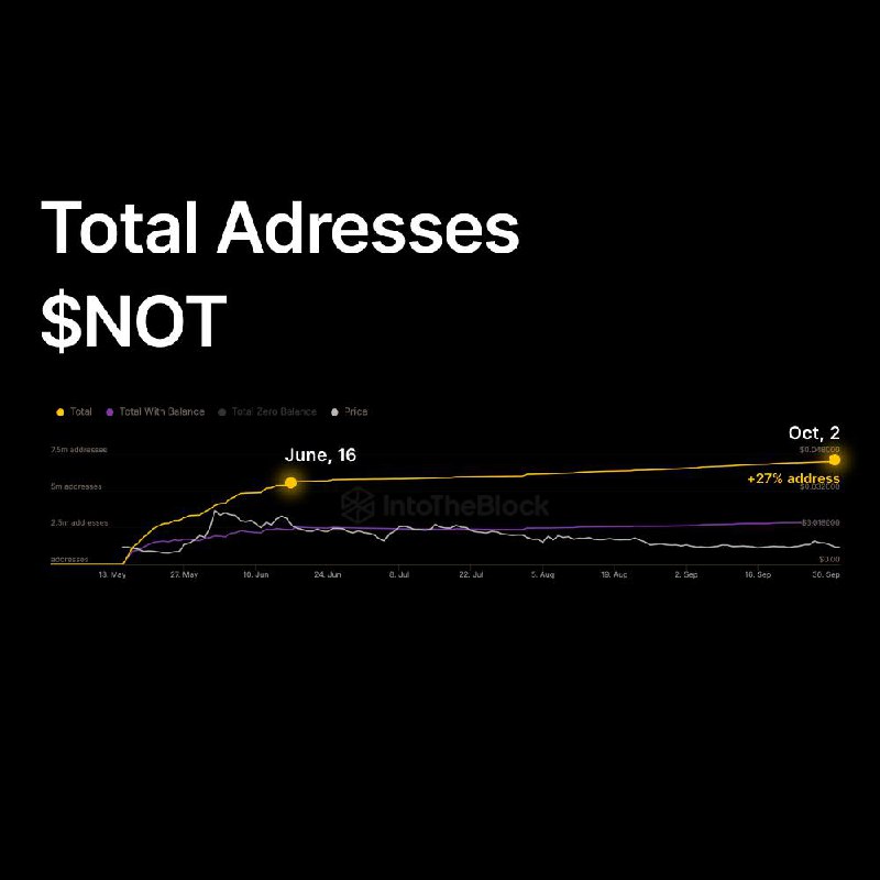 New holders of Notcoin