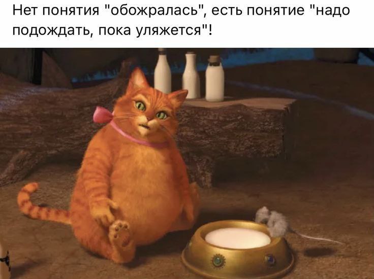 Not Fitness