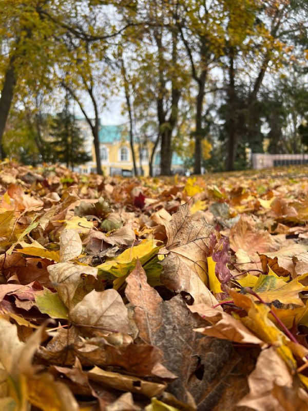 Вообще, я могла бы сейчас писать …