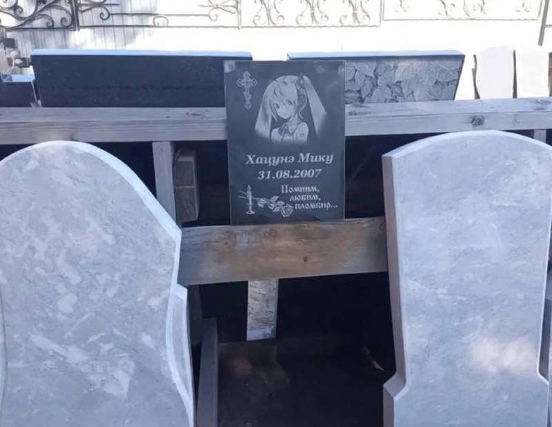 заметки эм джей