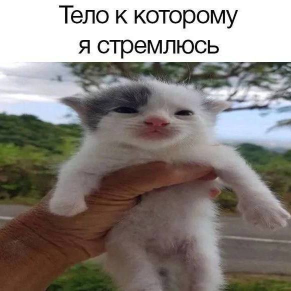 заметки эм джей