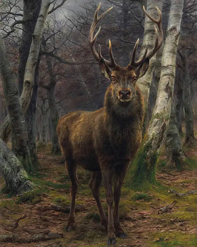 ***"Король леса", 1878
