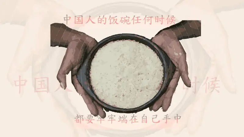 *****🇨🇳*** Como a China garante a segurança alimentar de 1,4 bilhão de pessoas? | Dongsheng Explica**