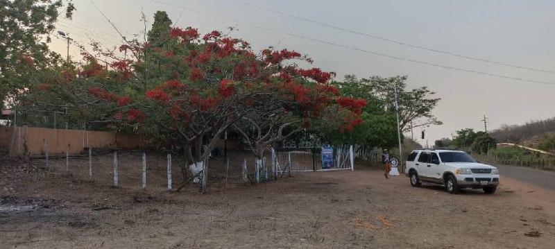 Notiguárico - Noticias Guárico