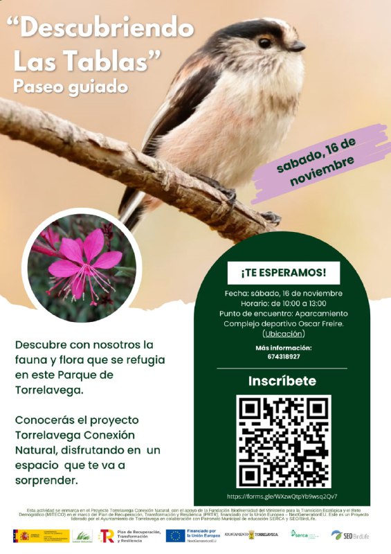 Próxima actividad de Torrelavega Conexión Natural