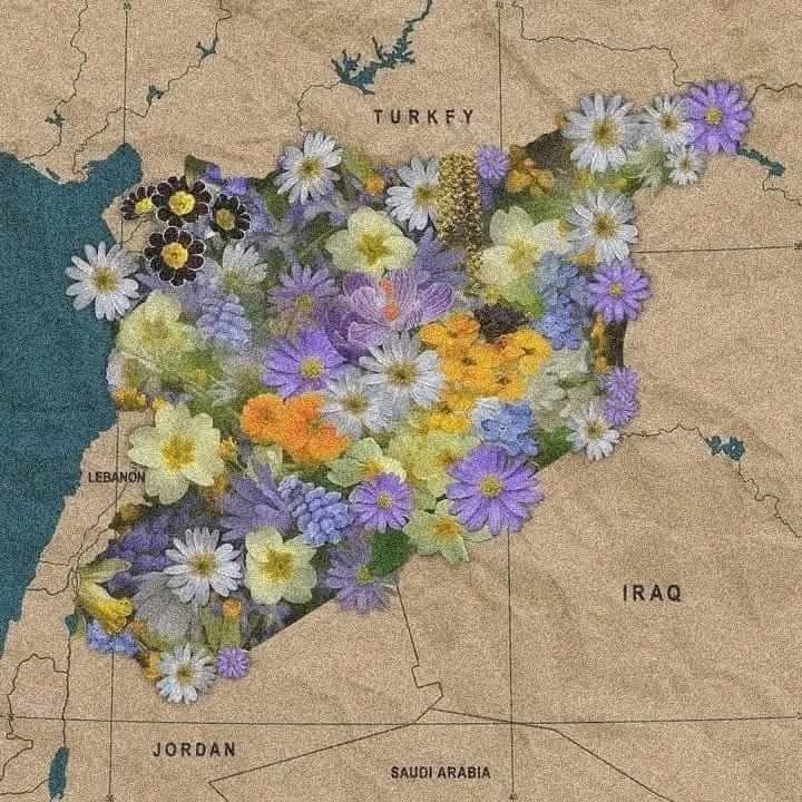 رجعت الدار بعد البعد آنسة..***?***