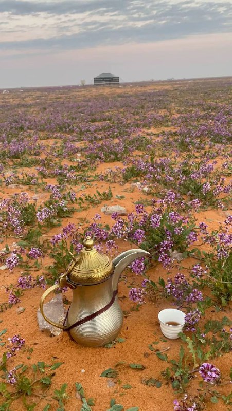 بــدر الـــغــفـــيــــلي