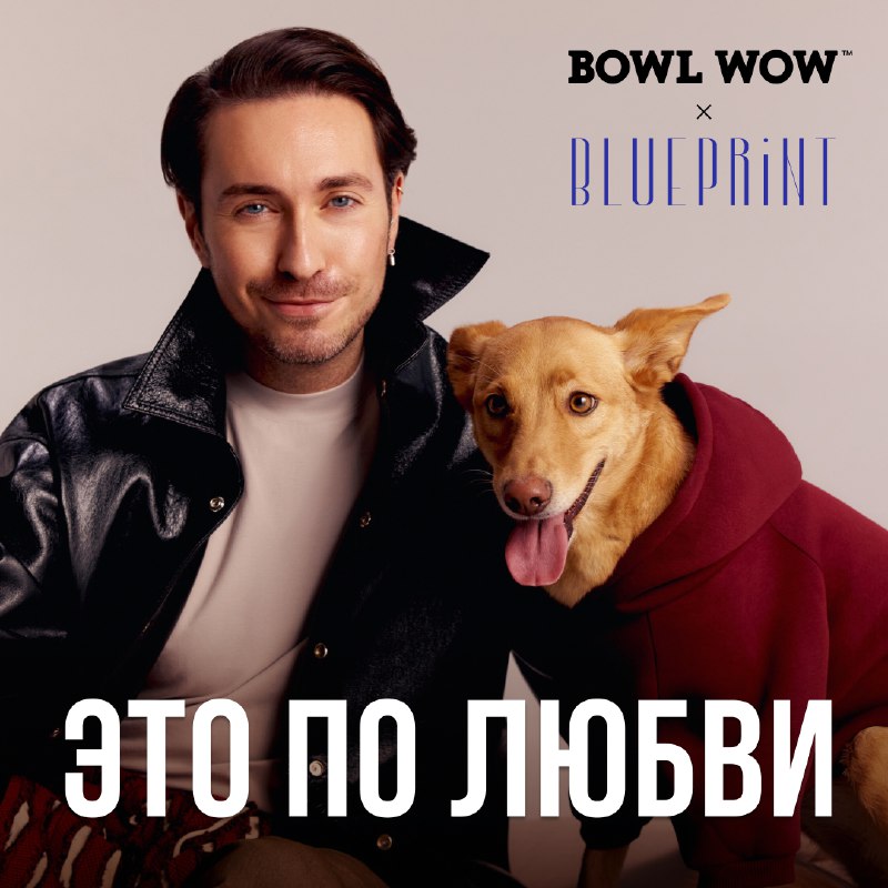 Наш с котофеем любимый BOWL WOW …