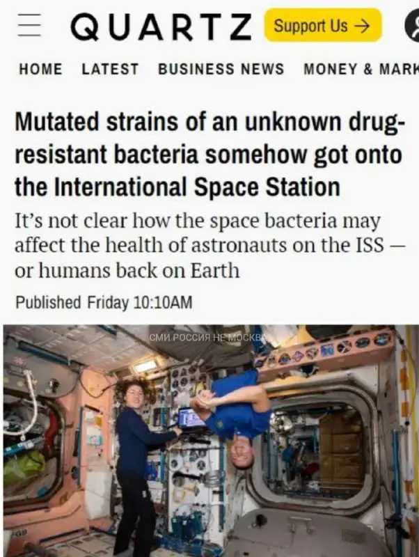 ***😨*****Бактерии на МКС мутировали в условиях …