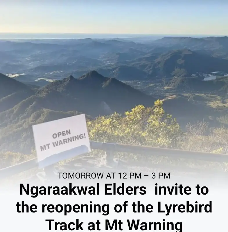 "Re-Opening" of the Lyrebird Track on …