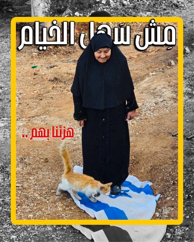 نَرجِسٰ "
