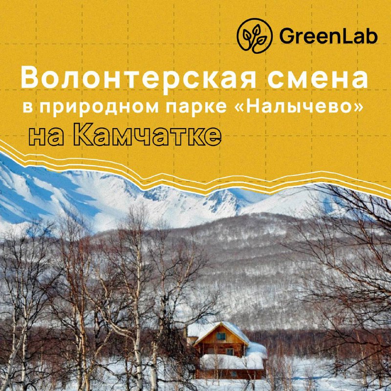 ***?*** Эковолонтерство на Камчатке