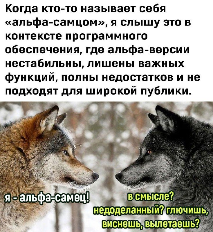 Ну чё, ты как?