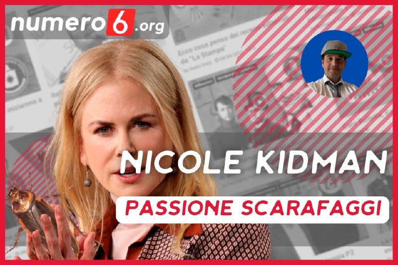 Nicole Kidman promuove il suo piatto …