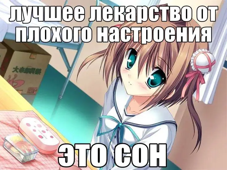 няшечки<kk