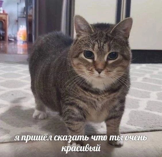 Всё, я выспался. Еду обратно :3