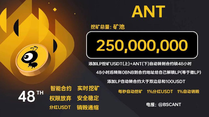 ANT蚂蚁团队精神