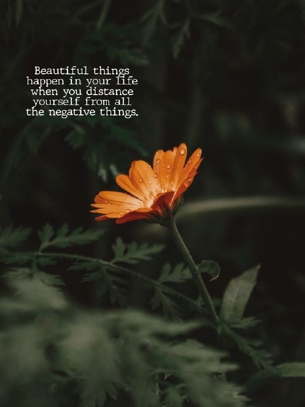 Beautiful things happen in your life …