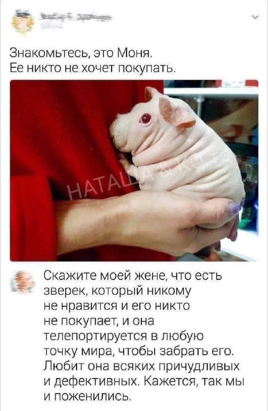 Обо всём и ни о чём …