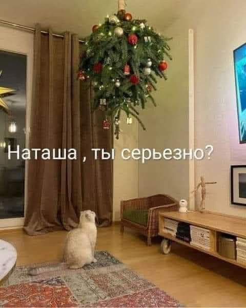 Обо всём и ни о чём …