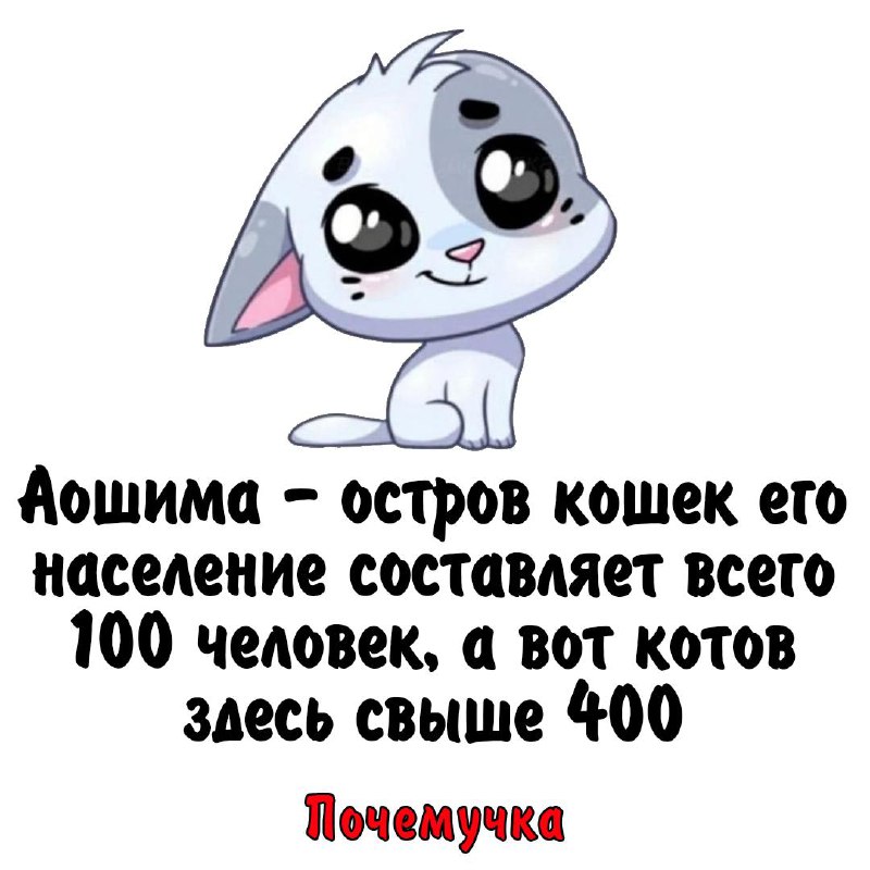 [Почемучка](http://t.me/obrazovanies)