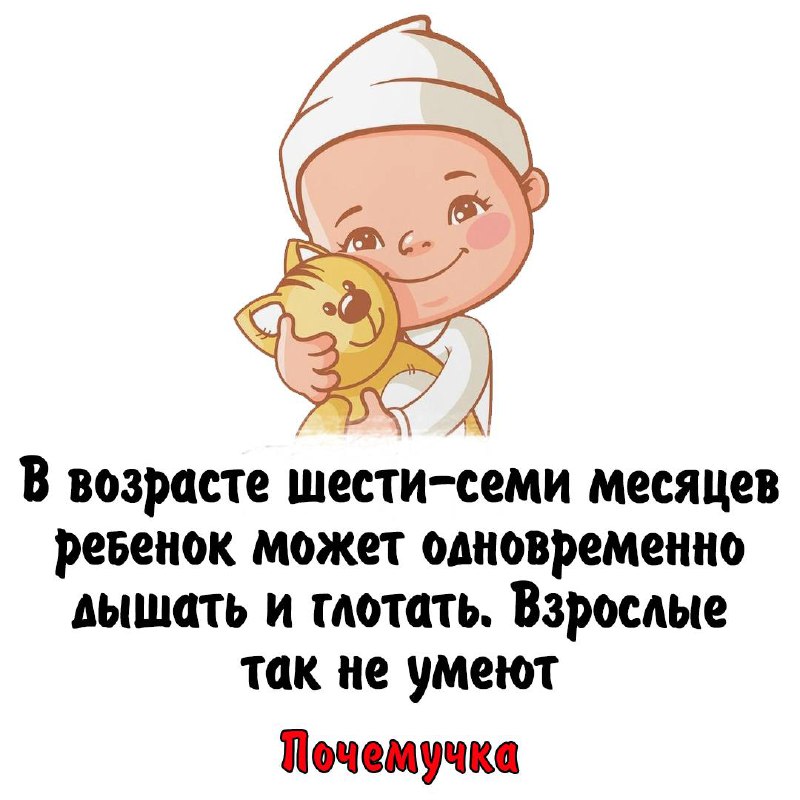 [Почемучка](http://t.me/obrazovanies)