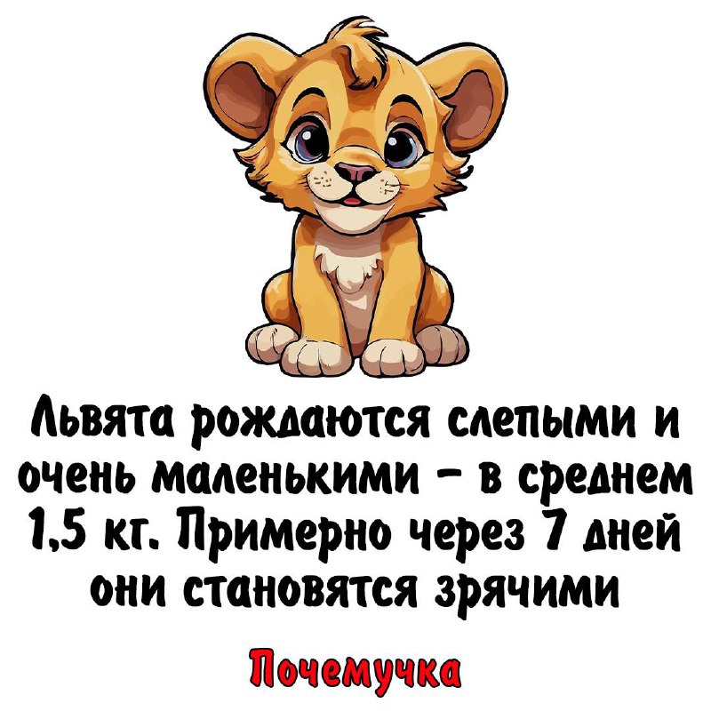 [Почемучка](http://t.me/obrazovanies)