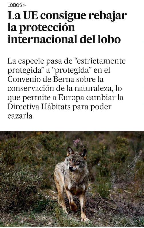 OBSERVATORIO DEL ESTADO DE CONSERVACIÓN DEL …